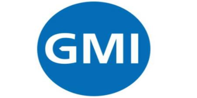 GMI提出的認(rèn)證模式主要有哪些？