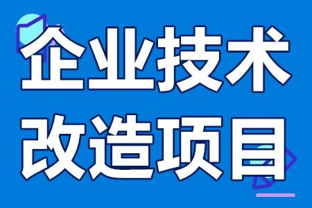 技術(shù)改造