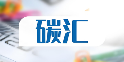 什么是碳匯？